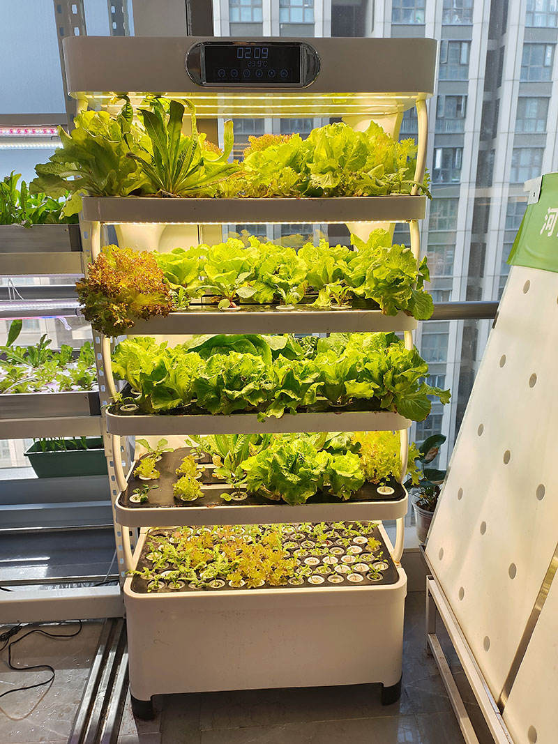 Intelligent Hydroponic Tower Planting Cabinet