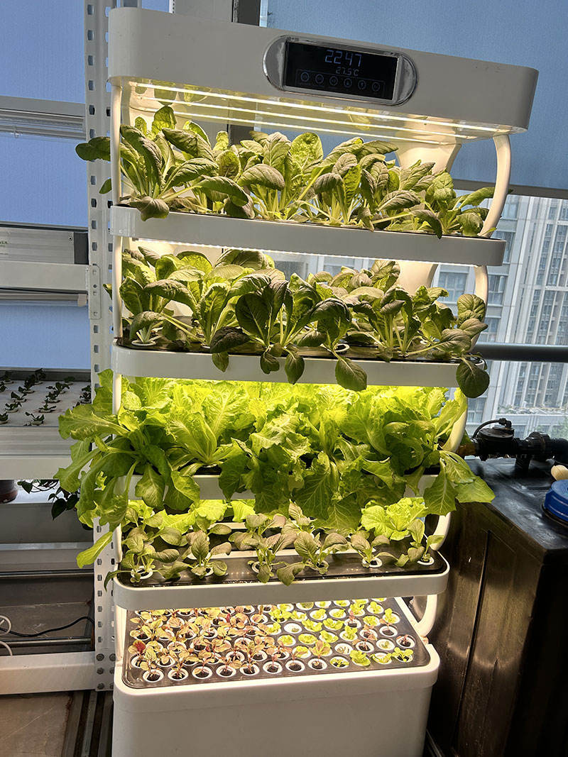 Intelligent Hydroponic Tower Planting Cabinet