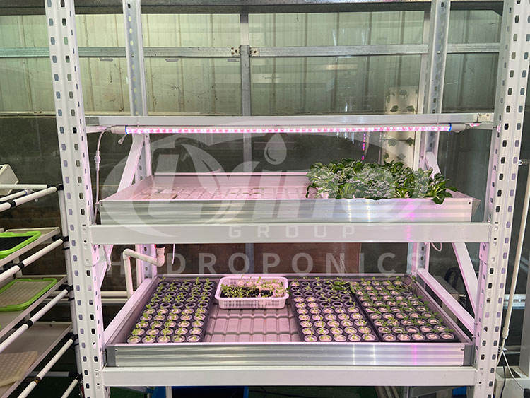 Lyine Hydroponic System 2x4 4x4 4x8 Ebb Flow Trays Rolling Bench Ebb And Flow System