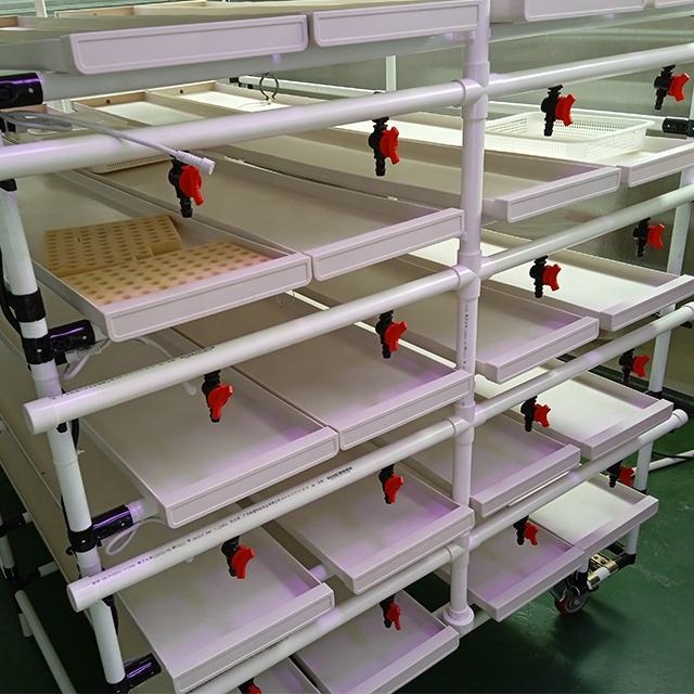 Vertical Farming Mobile Vertical Grow Rack Microgreens Systems