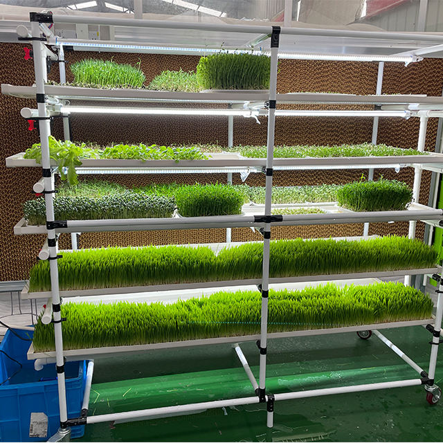 Vertical Farming Mobile Vertical Grow Rack Microgreens Systems