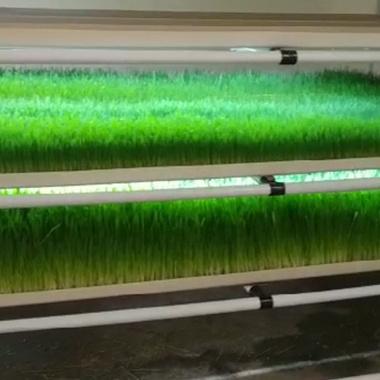 Vertical Farming Mobile Vertical Grow Rack Microgreens Systems