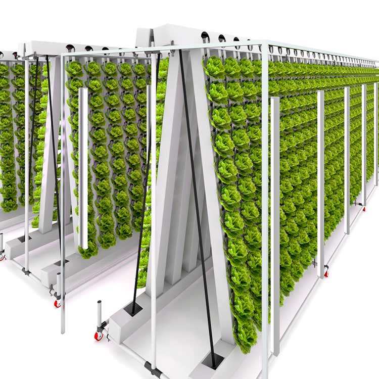 Aeroponic Growing Systems Vertical Garden System for Growing Fresh Vegetables