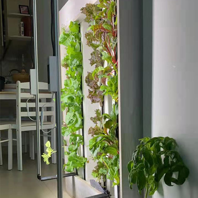 Aeroponic Growing Systems Vertical Garden System for Growing Fresh Vegetables