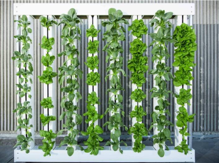 Aeroponic Growing Systems Vertical Garden System for Growing Fresh Vegetables