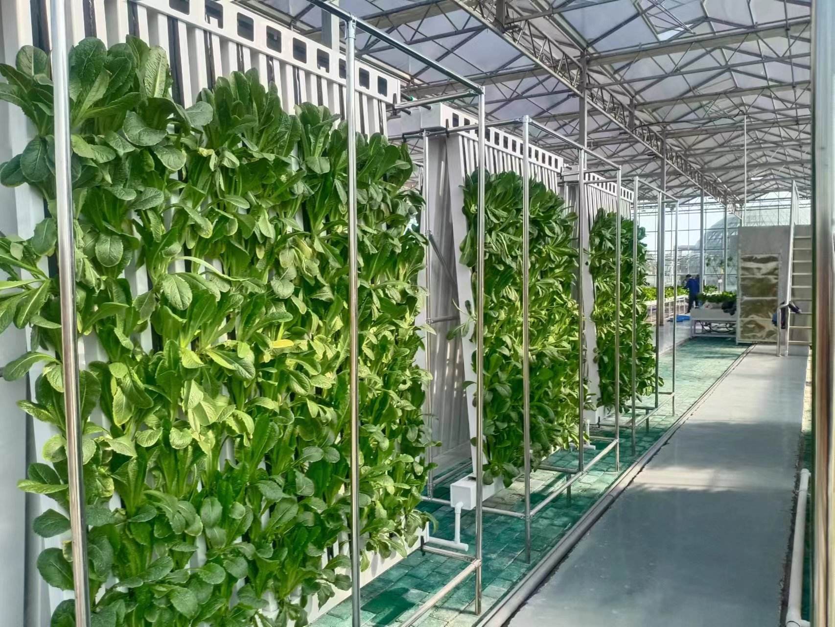 Lyine Irrigation Hydroponics Equipment Zip Tower System Vertical Farming for Greenhouse