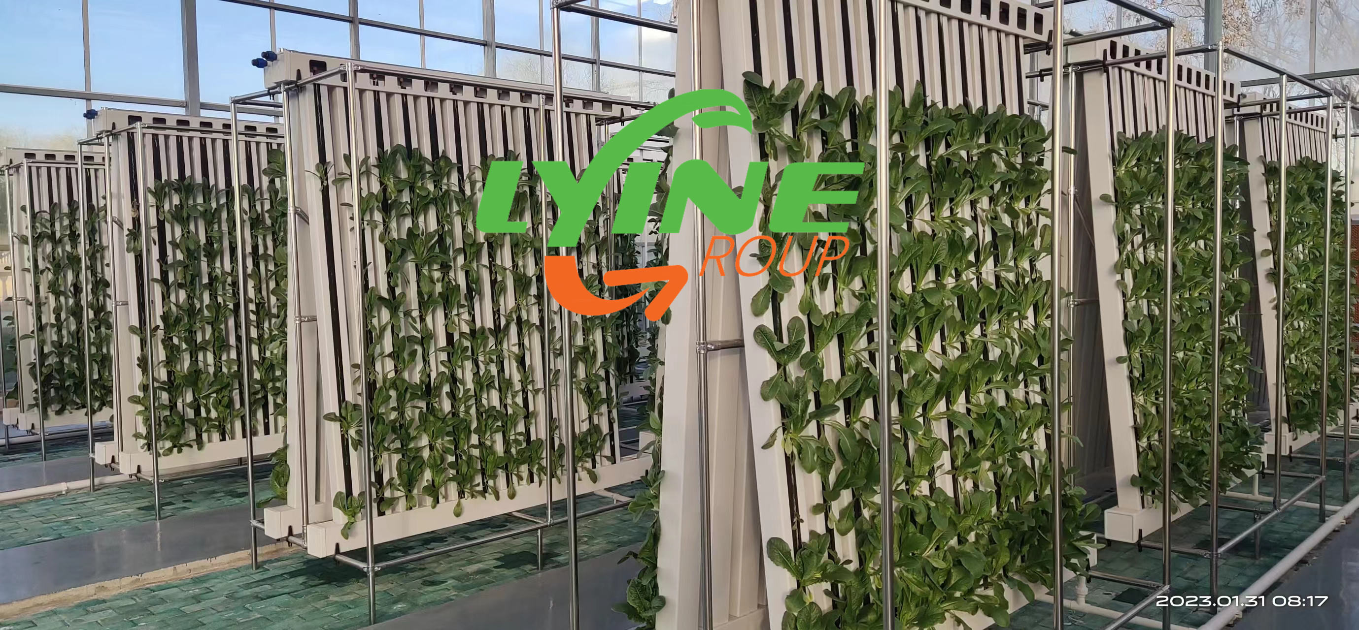 Lyine Irrigation Hydroponics Equipment Zip Tower System Vertical Farming for Greenhouse