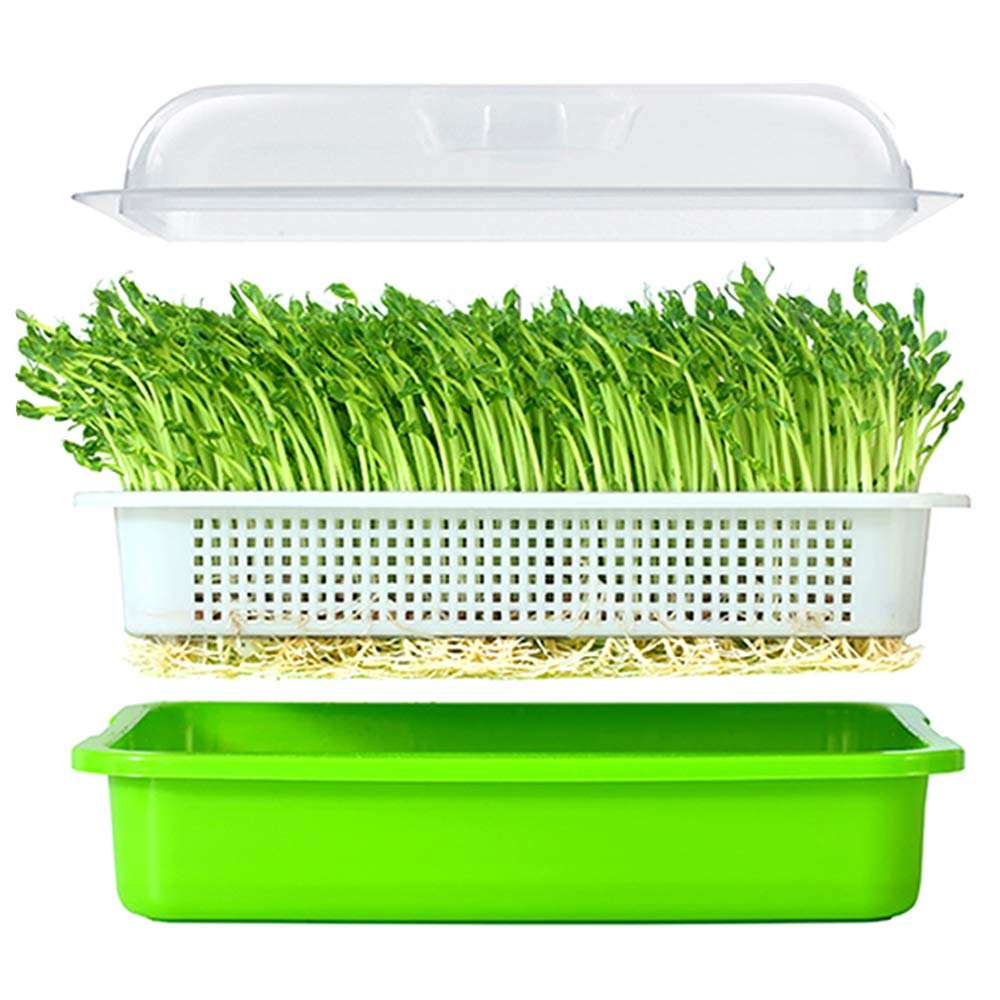 Seed Sprouter Tray PP Soil-Free Big Capacity Healthy Wheatgrass Grower with Lid Sprouting Kit