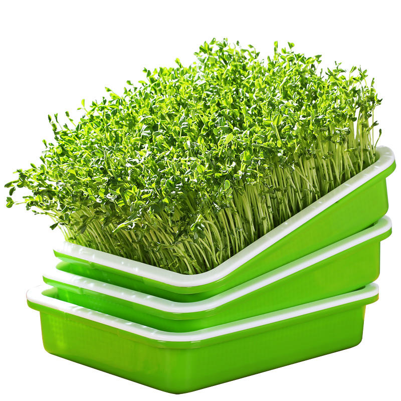 Seed Sprouter Tray PP Soil-Free Big Capacity Healthy Wheatgrass Grower with Lid Sprouting Kit