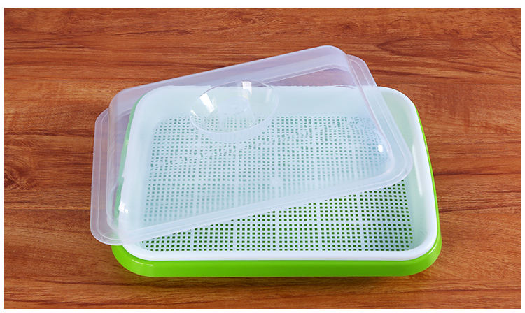 Seed Sprouter Tray PP Soil-Free Big Capacity Healthy Wheatgrass Grower with Lid Sprouting Kit