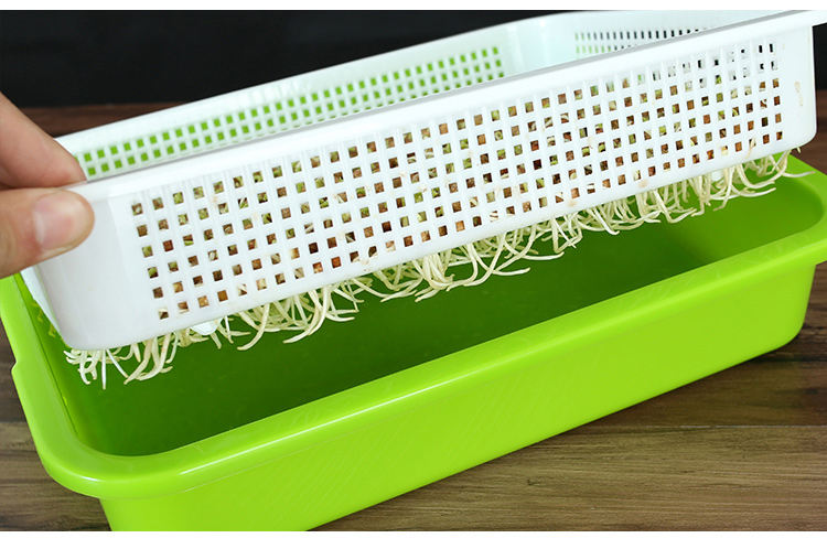 Seed Sprouter Tray PP Soil-Free Big Capacity Healthy Wheatgrass Grower with Lid Sprouting Kit