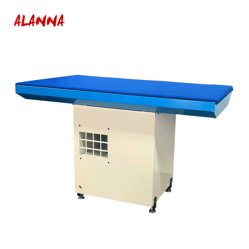 ALANNA Factory Good Price Laundry Business Industrial Laundry 25KG Ironing Table With Steam Generator Machine