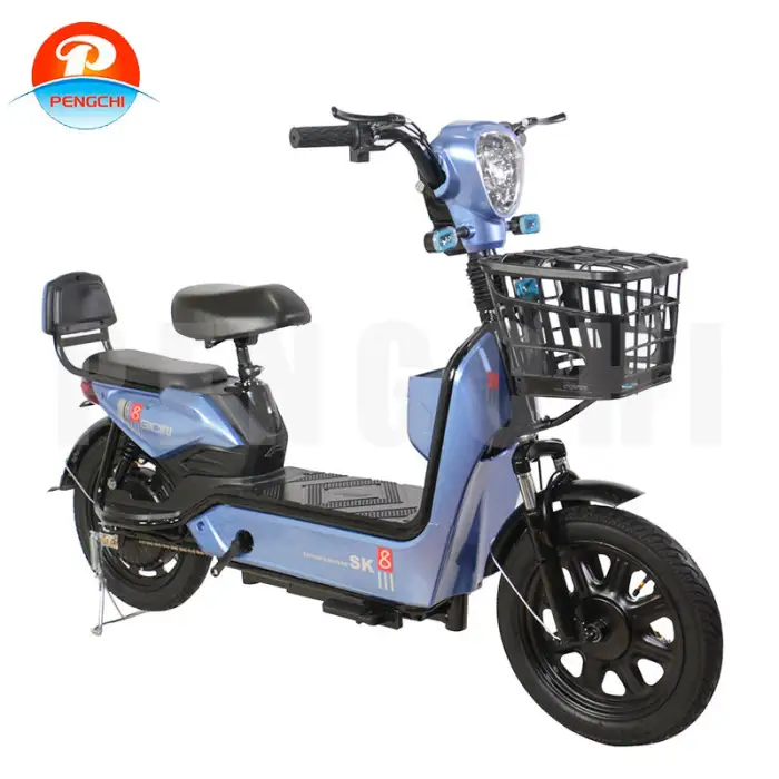 Leisure City E-Bike With Passenger Seat Anti Theft Locking