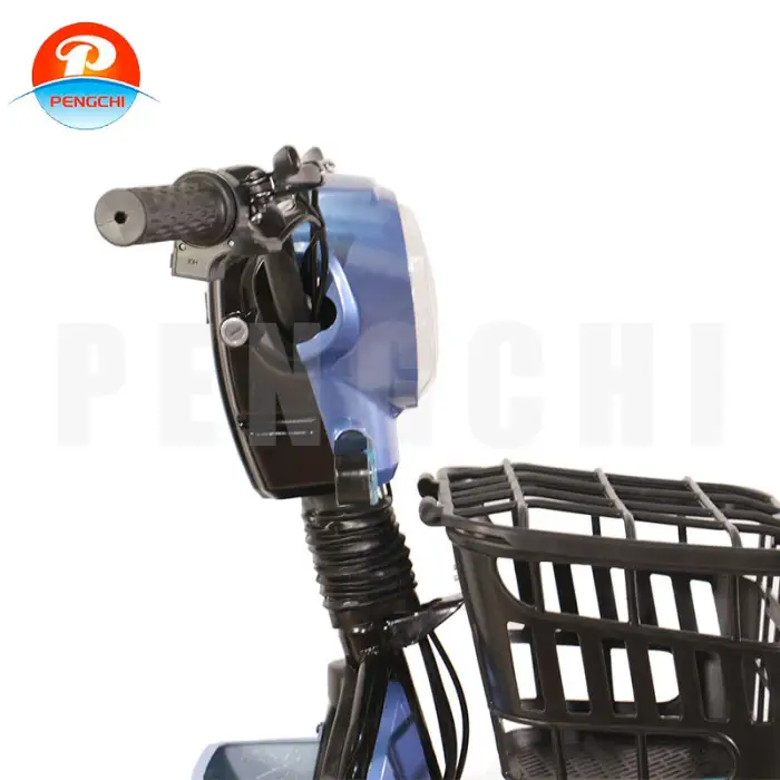 Leisure City E-Bike With Passenger Seat Anti Theft Locking