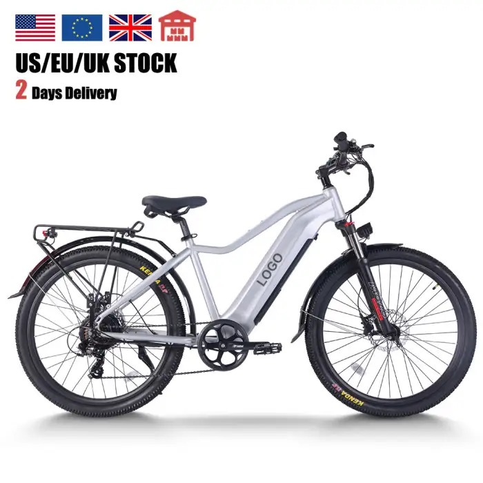 Ebike Off Road lithium ion 48V 15.6Ah Electric Bicycle 750W Long Distance Adults Mountain Electric Bike