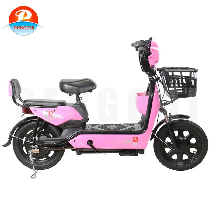 Leisure City E-Bike With Passenger Seat Anti Theft Locking