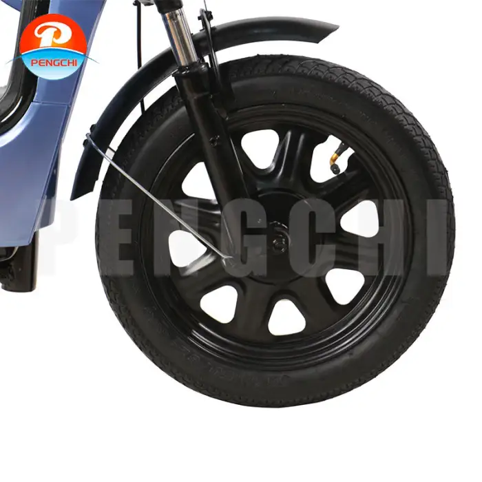 Leisure City E-Bike With Passenger Seat Anti Theft Locking