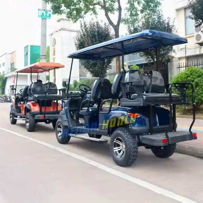 6 Seater Electric or Gas Golf Cart Wholesale Luxury Golf Carts