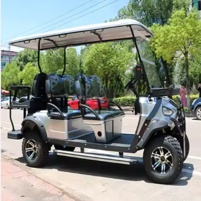 6 Seater Electric or Gas Golf Cart Wholesale Luxury Golf Carts