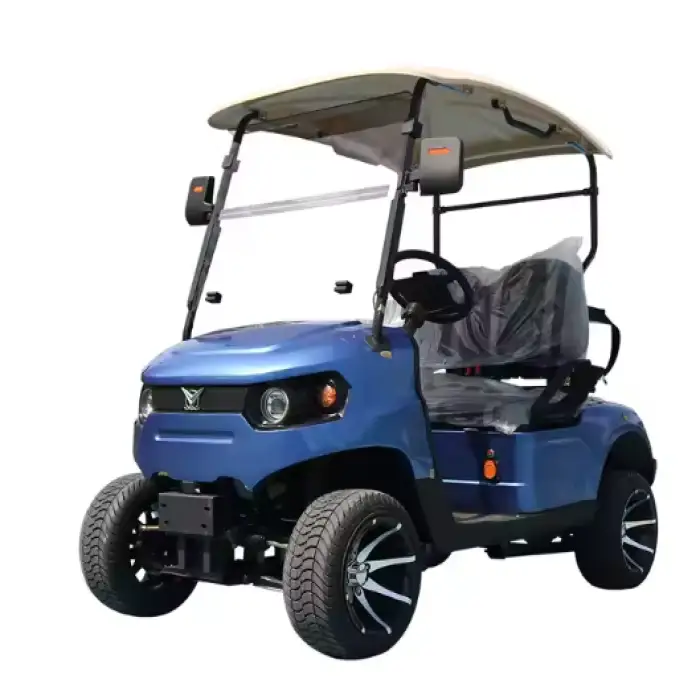 2 Seater 4 Seaters Electric Golf Cart - Affordable Buggy Car