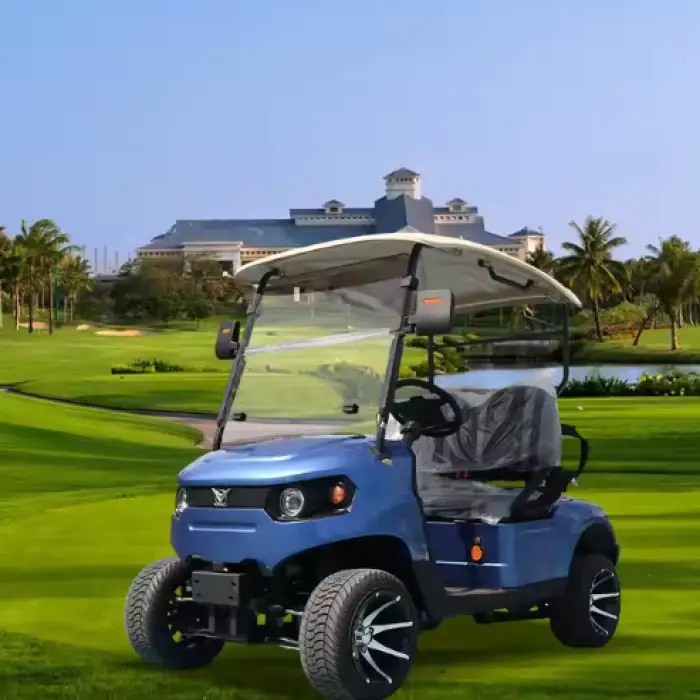 2 Seater 4 Seaters Electric Golf Cart - Affordable Buggy Car