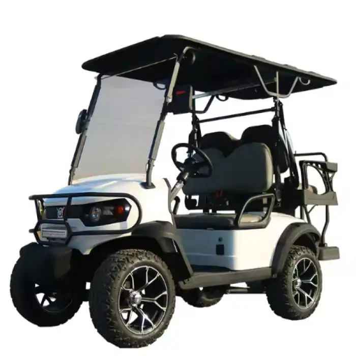 2 Seater 4 Seaters Electric Golf Cart - Affordable Buggy Car