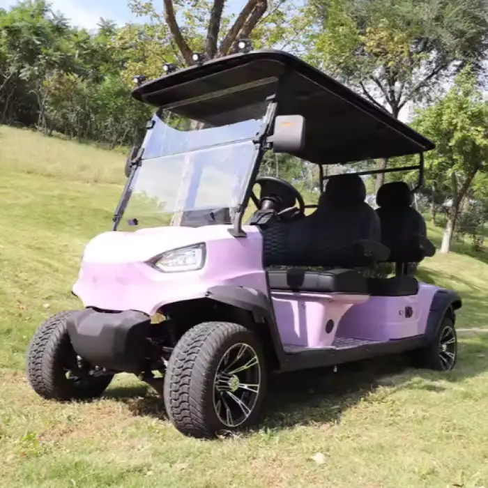 4 Seater 6Seater Mini 48V Electric Golf Cart Golf Car Vehicle