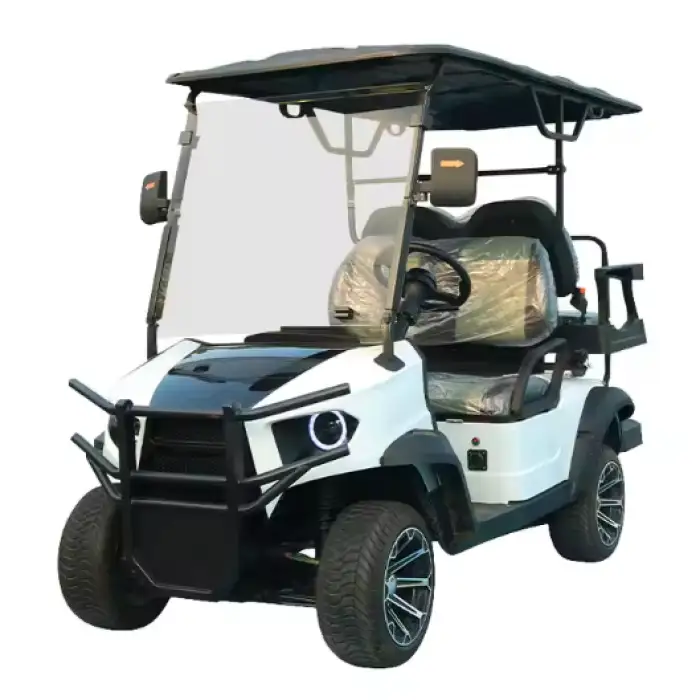 Electric Golf Cart 2 4 Seats Mini Electric Golf Car