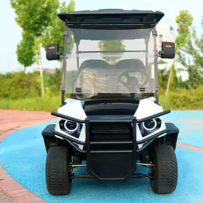 Electric Golf Cart 2 4 Seats Mini Electric Golf Car