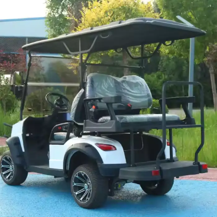 Electric Golf Cart 2 4 Seats Mini Electric Golf Car