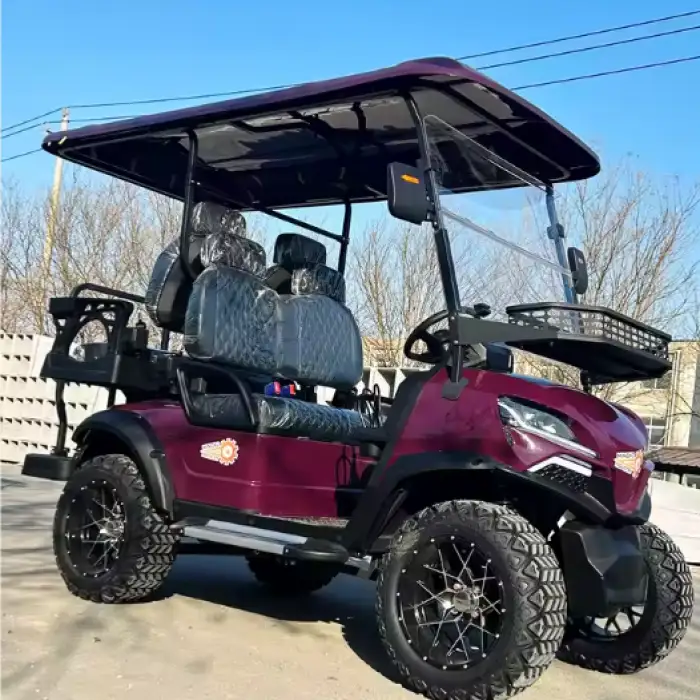 2+2 2 4 6 Seater Chinese Electric Golf Cart Car