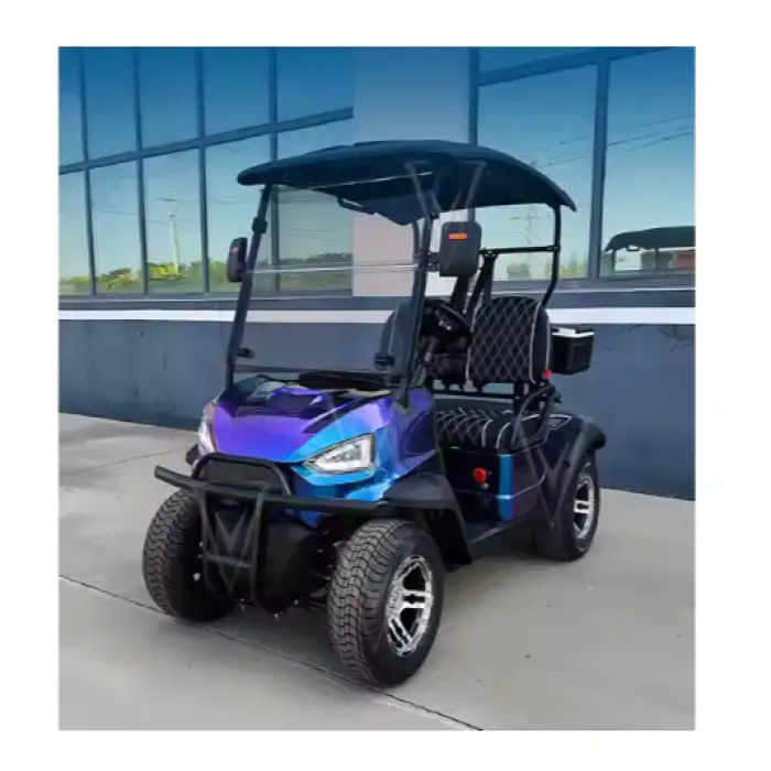 2 4 6 Seater Electric Golf Carts Cheap Prices Buggy Car for Sale Chinese Club Prezzi Four Enclosed Power Golf Cart