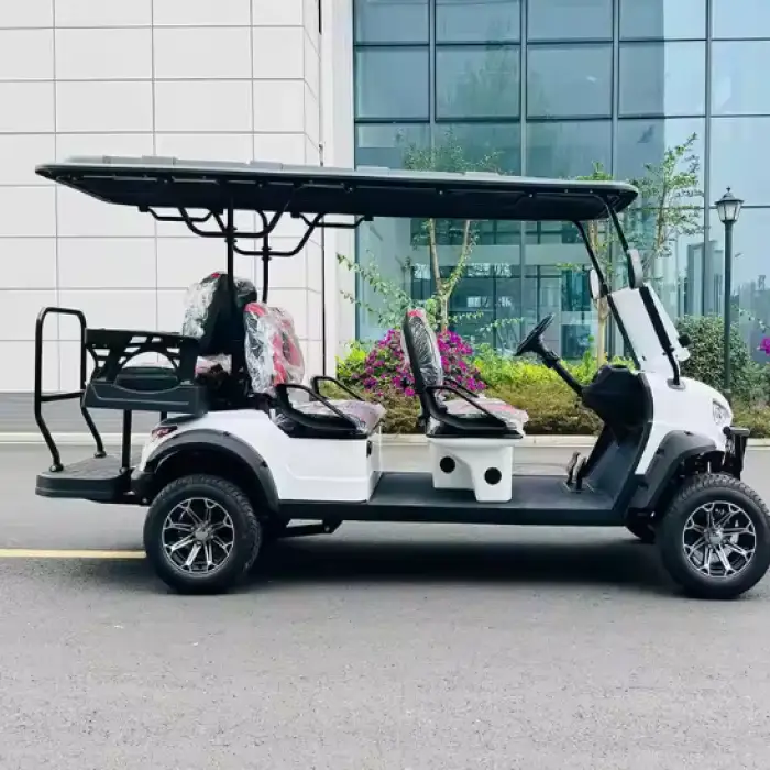 Electric Golf Cart - 2/4/6 Seater Luxury Golf Buggy