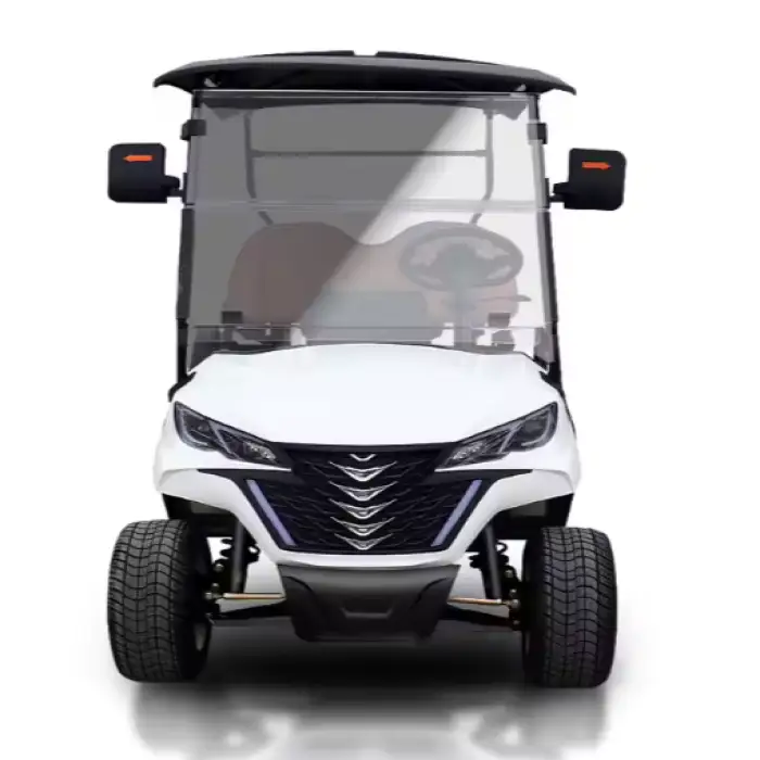 KEYU Electric Golf Cart - 2 Seat Full Size Electric Golf Cart Car with Lithium Battery