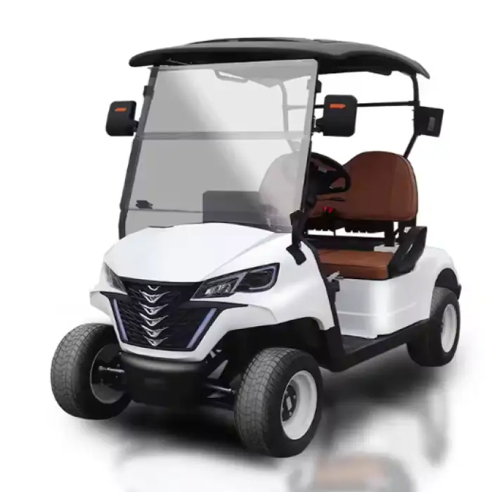 KEYU Electric Golf Cart - 2 Seat Full Size Electric Golf Cart Car with Lithium Battery