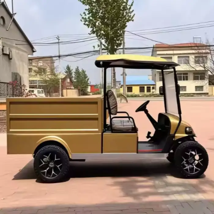 2025 Golf Cart Brand new FactoryElectric Golf Car 2 Seaters Grey Electric Golf Utility Vehicle 2025SDZX12PTPR27701