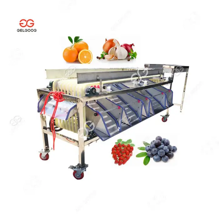 Electronic Sorter Of Fruits 5MtHr Grape Sorting Machine Fruit Packing Conveyor Kiwi Berry Machine Sorter