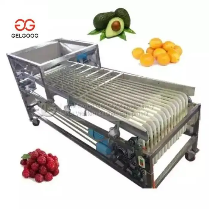 Electronic Sorter Of Fruits 5MtHr Grape Sorting Machine Fruit Packing Conveyor Kiwi Berry Machine Sorter