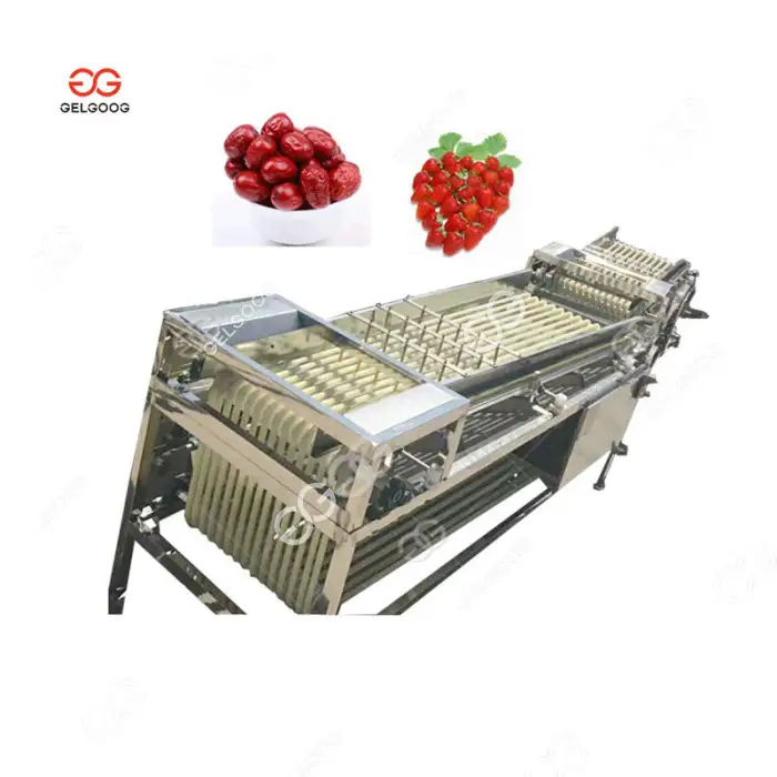 Electronic Sorter Of Fruits 5MtHr Grape Sorting Machine Fruit Packing Conveyor Kiwi Berry Machine Sorter