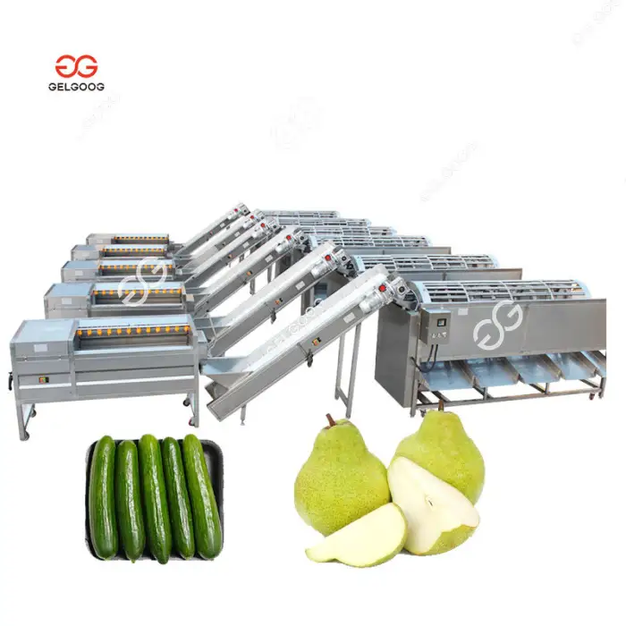 7 Grades Olives Chilli Plum Cherry Size Grader Grapes Sorter Equipment Okra Tomato Grading Machine