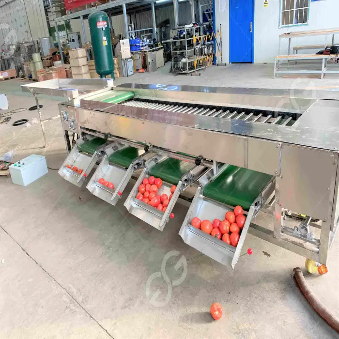 7 Grades Olives Chilli Plum Cherry Size Grader Grapes Sorter Equipment Okra Tomato Grading Machine