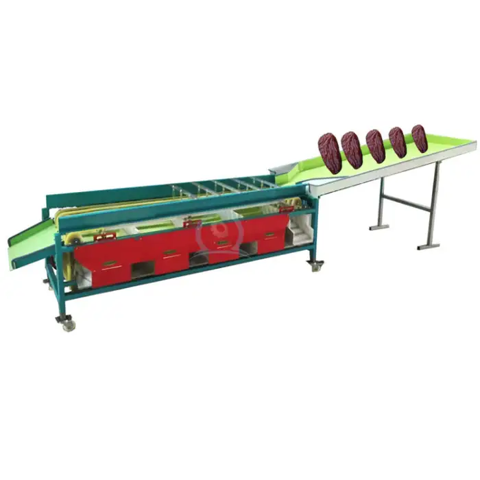 automated date size sort conveyor system passion fruit grape tomato potato sorting machine sorter machine