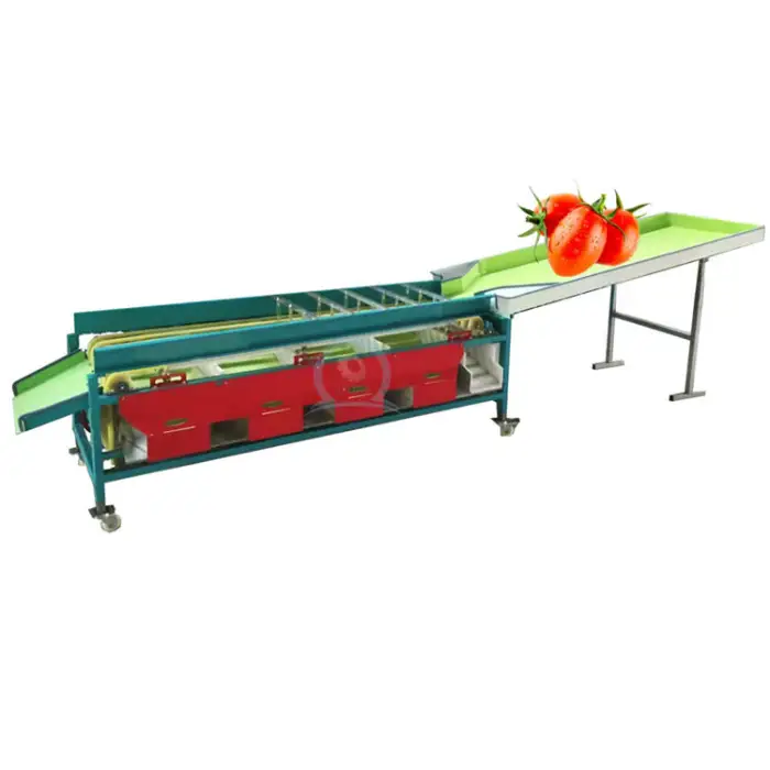 automated date size sort conveyor system passion fruit grape tomato potato sorting machine sorter machine