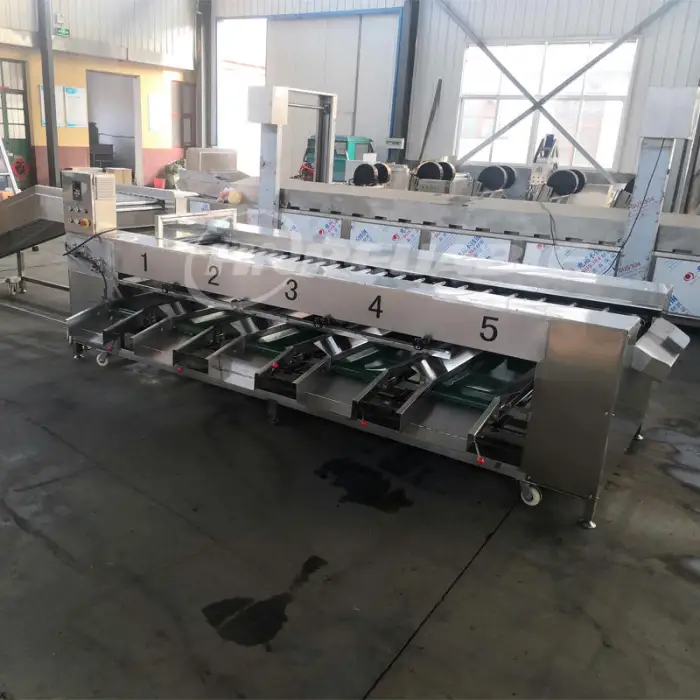 Fruits Vegetable Onion Grape Orange Peach Pepper Plum Pear Nectarine Blueberry Sorter Grading Sorting Machine