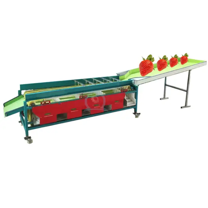 automated date size sort conveyor system passion fruit grape tomato potato sorting machine sorter machine