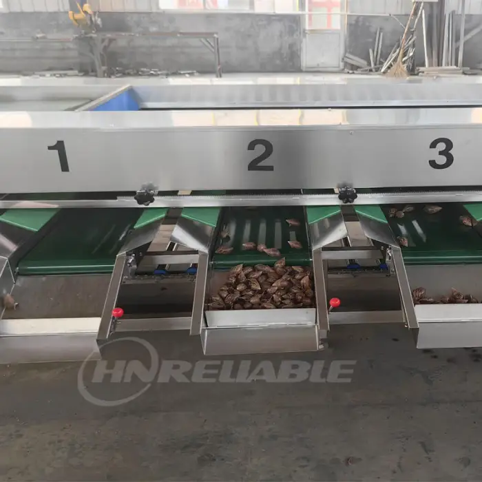 Fruits Vegetable Onion Grape Orange Peach Pepper Plum Pear Nectarine Blueberry Sorter Grading Sorting Machine