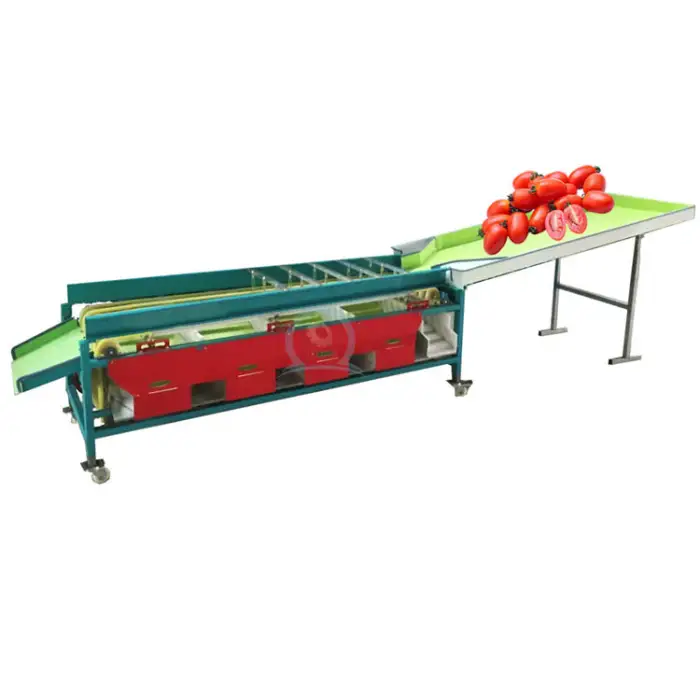 automated date size sort conveyor system passion fruit grape tomato potato sorting machine sorter machine