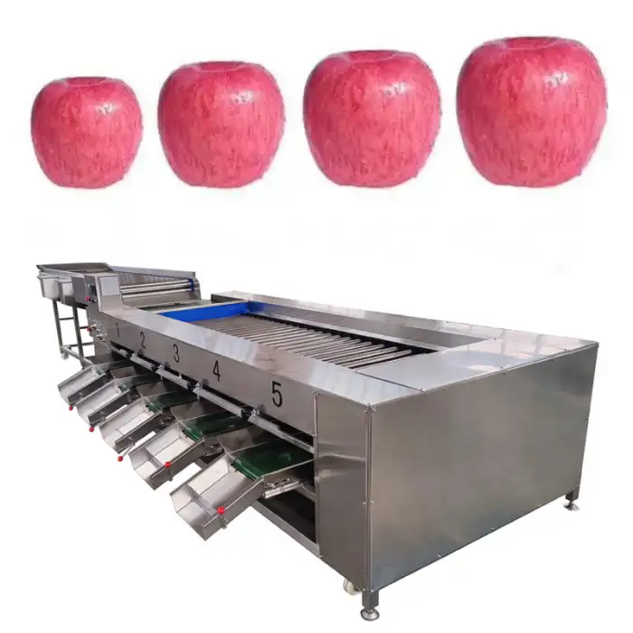 Fruits Vegetable Onion Grape Orange Peach Pepper Plum Pear Nectarine Blueberry Sorter Grading Sorting Machine