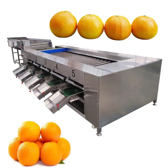 Fruits Vegetable Onion Grape Orange Peach Pepper Plum Pear Nectarine Blueberry Sorter Grading Sorting Machine