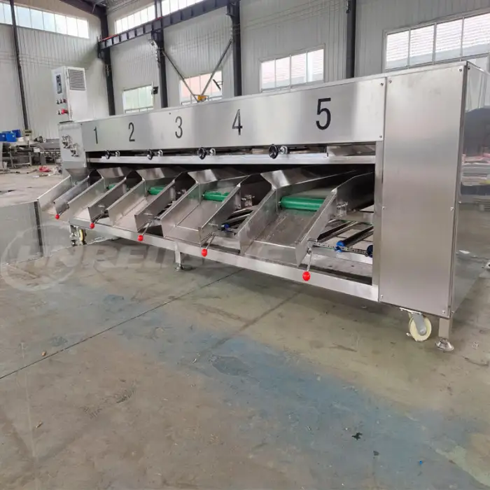 Fruits Vegetable Onion Grape Orange Peach Pepper Plum Pear Nectarine Blueberry Sorter Grading Sorting Machine